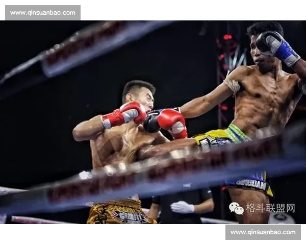 相扑对决泰拳的力量速度与规则碰撞谁更占优解析格斗比较全面研究 相扑对决泰拳的力量速度与规则碰撞谁更占优解析格斗比较全面研究